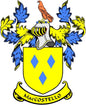 Family crest pin with yellow shield, blue diamond symbols, birds, and MacCostello banner