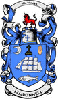 Coat of arms pinback with blue heraldic shield, ship, and red lion crest
