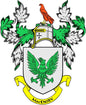 Family crest coat of arms pinback with green griffin on shield and yellow banner