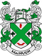 MacHugh coat of arms enamel pin with green shield crest and ribbon banner