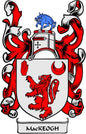 Family crest coat arms magnet with red and black eagle details on a shield