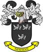 Coat of arms pinback with black shield, white lion designs, and yellow “NEWMAN” ribbon