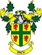 Green-yellow family crest pinback with red lion shields and PACY banner