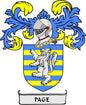 3-inch coat of arms pinback with blue-yellow shield, helmet figure, and PAGE banner