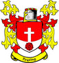 Red-and-white family crest arms magnet with Peysing shield and cross design