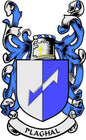 Coat of arms pinback: blue and white shield with crown and PLAGHAL ribbon