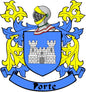 Family crest coat arms magnet: blue shield with castle, two yellow lions, banner scroll