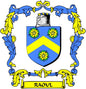 Coat of arms enamel pinback with blue and yellow shield and RAOUL banner