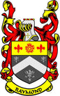 Raymond coat of arms enamel pinback with red and yellow shield and RAYMOND banner