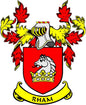 Rham family crest coat of arms magnet with red shield, lion, and yellow crown