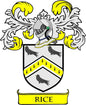 Rice family crest coat of arms pinback with shield, black ravens and yellow banner
