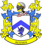 Coat of arms pinback with shield, blue lion, and yellow and blue decorative scrollwork