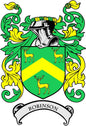 Robinson family crest arms magnet with green shield and arched ROBINSON banner