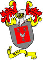 Coat of arms pin with red shield, gray outline, and yellow ribbon detailing