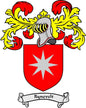 Family crest coat of arms magnet with red shield, white star, and Rynevelt ribbon arms