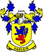 Family crest coat of arms pinback with yellow shield, blue lion, and laurel leaves