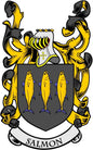Family crest coat of arms magnet with yellow-and-black lion figures and a SALMON banner