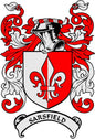 Sarsfield coat of arms pinback badge, red-and-white shield with fleur-de-lis and banner