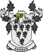 Savage family crest pinback badge with black lion shield and banner lettering