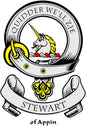 Round enamel family crest pin: unicorn in helmet, yellow/black, 'STEWART of Appin' text