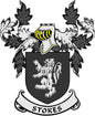 Family crest coat of arms pinback with black shield, laurel leaves, and STOKES banner