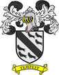 Tempest family crest coat of arms pinback with shield and banner