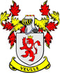 Family crest coat arms magnet with shield and lion, colorful leaves, “VEULLE” banner
