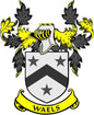 Waels coat of arms pinback with shield, stars, chevron, yellow ribbon lettering WAELS