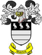 Family crest arms magnet with black shield, white stripes, three rabbits, gold Wakefield banner