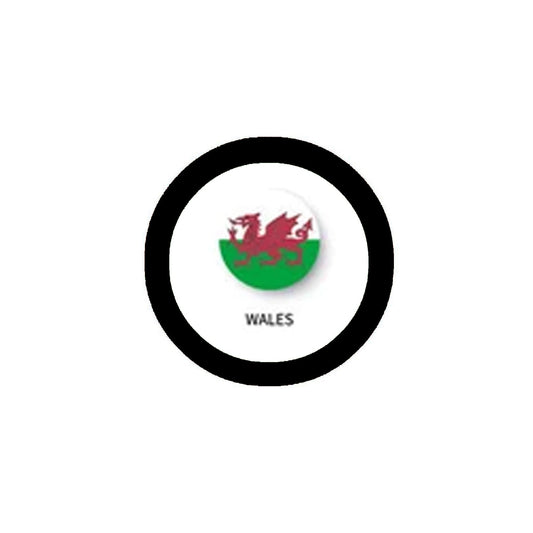 Wales Family Crest 3" Coat of Arms Round Magnet