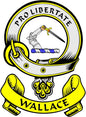 Wallace family crest coat of arms pinback, circular design with sword and WALLACE text