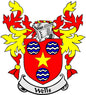Wells family crest pinback badge with red shield, blue wavy lines, and yellow flames