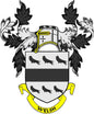 Welsh family crest coat-of-arms magnet with shield, wings, and Welsh ribbon, yellow and black