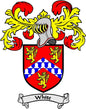 Family crest pinback badge with red lions, blue shield, gold mantling, and 'White' banner