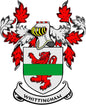 Family crest coat-of-arms emblem magnet with red lion shield and green banner