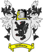 Coat of arms pinback badge with shield, black lion, and yellow “Williams” banner