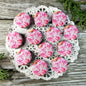Pink smile rose pinback buttons, round fabric fronts with clasp backs