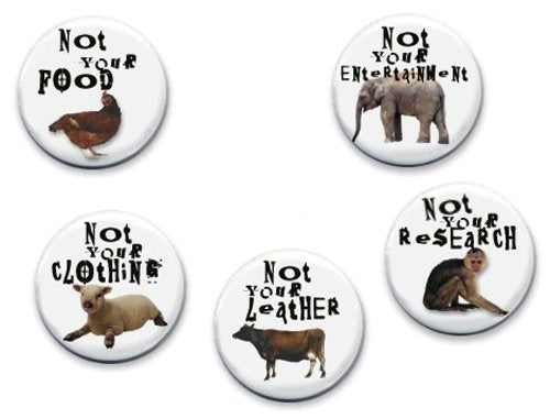 5 Not Yours 1.25" Pinback Buttons, Not your fur, not your entertainment, not your food