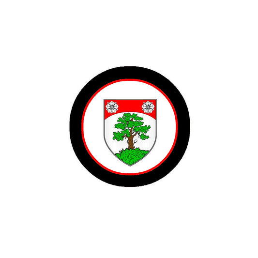 Flannery 3-inch Coat of Arms Fridge Round Magnet Default Title