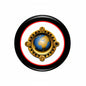 2.25-inch Earth pinback button with blue globe and gold starburst design
