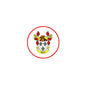 3-inch round coat of arms crest magnet with red border and colorful shield design