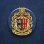 Abouelenein Family Crest Coat of Arms Pinback 3-inch - My Pinbacks
