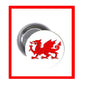 Welsh dragon pinback button with red dragon on white face and silver metal back