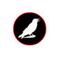 Raven silhouette badge pin with red border and black-and-white bird graphic, round 2.25-inch