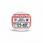 Aguascalientes License Plate Pinback 2.25-inch