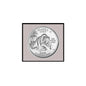 Round silver Alaska state quarter coin magnet with buffalo and Alaska 1959 text