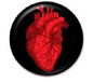 Round black heart pinback button with red anatomical heart illustration
