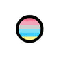2.25-inch circular pin with rainbow pride flag stripes in pink, blue, and yellow