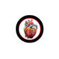 2.25-inch anatomical human heart pinback button with black rim and red border