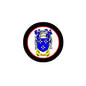 Round coat of arms pin badge with blue shield, yellow ribbon, and black border